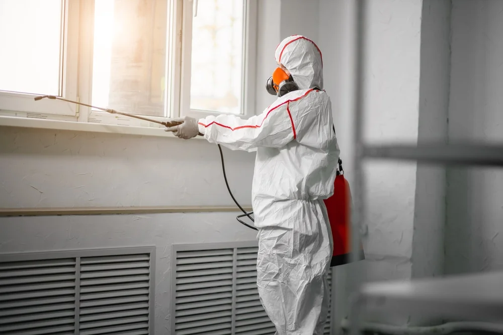 Professional mold remediation services in Saint Leo, FL